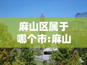 麻山区属于哪个市:麻山区有几个乡