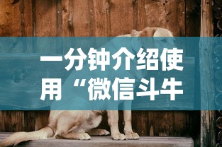 一分钟了解“微信炸 金花怎样建房间”房卡详细充值 一分钟了解“微信炸 金花怎样建房间”房卡详细充值