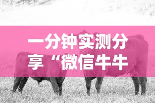 一分钟实测分享“微信牛牛群斗牛群”详细房卡怎么购买教程