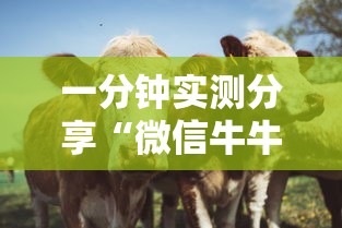 一分钟实测分享“微信牛牛群斗牛群”详细房卡怎么购买教程
