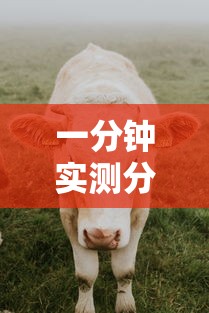 一分钟实测分享“微信牛牛群斗牛群”详细房卡怎么购买教程