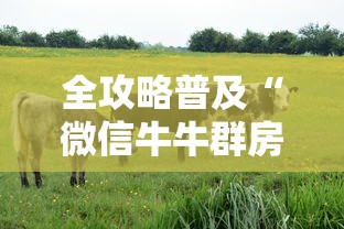 一分钟了解“金花大厅怎么买房卡”详细房卡教程