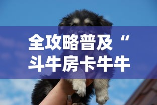 2026玩家爆料“微信开牛牛房卡在哪里”详细房卡教程 2026玩家爆料“微信开牛牛房卡在哪里”详细房卡教程