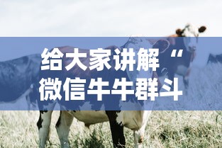 快递几号开始停运2022(快递几号停运呀) 快递几号开始停运2022(快递几号停运呀)