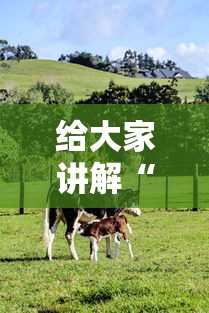 一分钟了解“火神大厅金花房卡”房卡链接获取