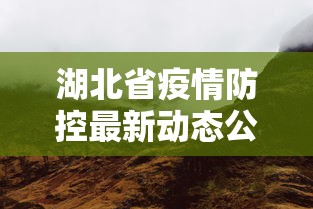 湖北省疫情防控最新动态公告:湖北省疫情防控指挥部最新公告