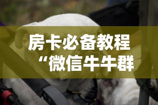 南川区疫情防控/南川区新冠防疫指挥部电话 南川区疫情防控/南川区新冠防疫指挥部电话