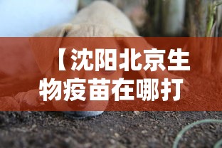【苏州疫情情况最新,苏州新冠最新消息数据】 【苏州疫情情况最新,苏州新冠最新消息数据】