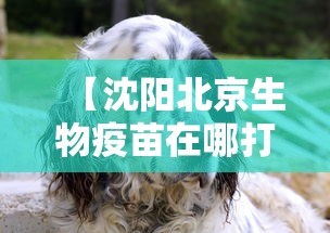 潮南区疫情最新消息(潮南防疫情况) 潮南区疫情最新消息(潮南防疫情况)