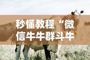 秒懂教程“微信牛牛群斗牛群”房卡详细充值 秒懂教程“微信牛牛群斗牛群”房卡详细充值