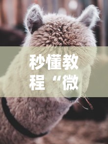 秒懂教程“微信牛牛群斗牛群”房卡详细充值 秒懂教程“微信牛牛群斗牛群”房卡详细充值