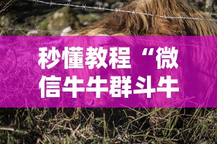秒懂教程“微信牛牛群斗牛群”房卡详细充值 秒懂教程“微信牛牛群斗牛群”房卡详细充值