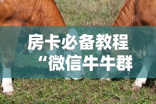 玩家必知“微信群大厅牛牛房卡”房卡链接获取 玩家必知“微信群大厅牛牛房卡”房卡链接获取