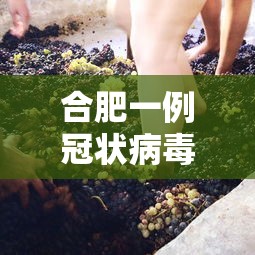 合肥一例冠状病毒/合肥 1例