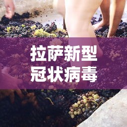 拉萨新型冠状病毒/拉萨新冠防疫 拉萨新型冠状病毒/拉萨新冠防疫
