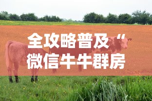 给大家普及“微信炸 金花链接房卡从哪里购买”详细房卡使用教程