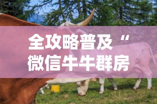 全攻略普及“微信牛牛群房卡哪里买”房卡获取方式 全攻略普及“微信牛牛群房卡哪里买”房卡获取方式