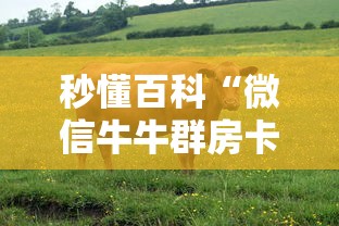 一分钟了解“微信牛牛房卡充值”轻松获取房卡全渠道 一分钟了解“微信牛牛房卡充值”轻松获取房卡全渠道