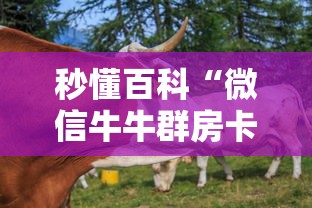 秒懂百科“微信牛牛群房卡”购买房卡介绍 秒懂百科“微信牛牛群房卡”购买房卡介绍