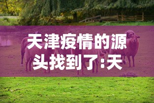 银川疫情哪天封城/银川封城今天 银川疫情哪天封城/银川封城今天