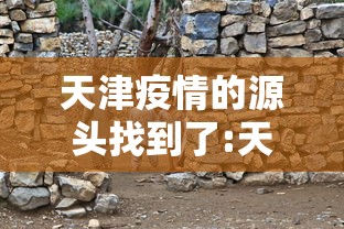 天津疫情的源头找到了:天津疫情起源 天津疫情的源头找到了:天津疫情起源