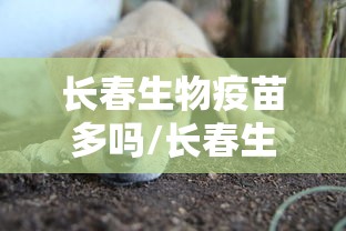 长春生物疫苗多吗/长春生物疫苗好么?