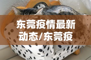 东莞疫情最新动态/东莞疫情最新数据今天 东莞疫情最新动态/东莞疫情最新数据今天