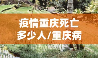 疫情重庆死亡多少人/重庆病例人数 疫情重庆死亡多少人/重庆病例人数