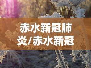 赤水新冠肺炎/赤水新冠病毒