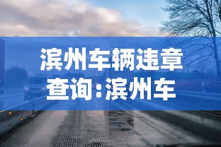 滨州车辆违章查询:滨州车辆违章查询入口 滨州车辆违章查询:滨州车辆违章查询入口