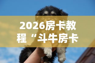 2026房卡教程“斗牛房卡牛牛房卡”房卡使用教程