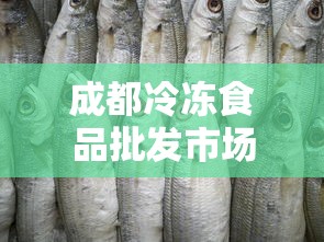 成都冷冻食品批发市场/成都冷冻食品批发厂家直销