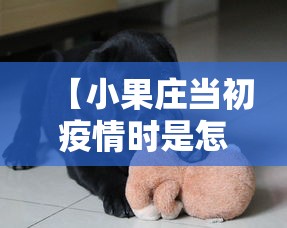 【小果庄当初疫情时是怎么对待动物的/小果庄村的动物怎么办】