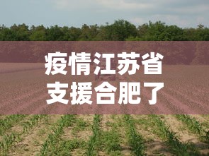疫情江苏省支援合肥了吗/疫情江苏援助哪里的 疫情江苏省支援合肥了吗/疫情江苏援助哪里的