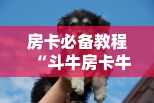 房卡必备教程“斗牛房卡牛牛房卡”购买房卡介绍 房卡必备教程“斗牛房卡牛牛房卡”购买房卡介绍