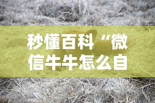 秒懂百科“微信牛牛怎么自建房间”房卡怎么购买