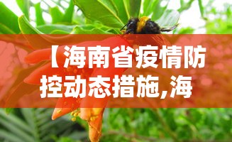 【海南省疫情防控动态措施,海南省疫情防控动态管理】 【海南省疫情防控动态措施,海南省疫情防控动态管理】