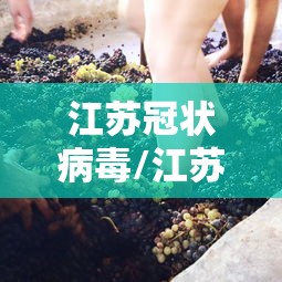 江苏冠状病毒/江苏1个,冠状病毒 江苏冠状病毒/江苏1个,冠状病毒