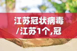 江苏冠状病毒/江苏1个,冠状病毒 江苏冠状病毒/江苏1个,冠状病毒
