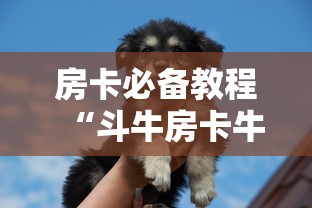 房卡必备教程“斗牛房卡牛牛房卡”房卡怎么购买 房卡必备教程“斗牛房卡牛牛房卡”房卡怎么购买