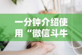 一分钟介绍使用“微信斗牛房卡怎么获得”购买房卡介绍 一分钟介绍使用“微信斗牛房卡怎么获得”购买房卡介绍