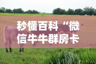 2026玩家爆料“微信炸 金花房卡如何充值”购买房卡介绍