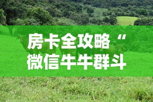 房卡全攻略“微信牛牛群斗牛群”房卡链接获取 房卡全攻略“微信牛牛群斗牛群”房卡链接获取