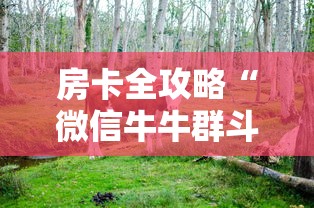 房卡全攻略“微信牛牛群斗牛群”房卡链接获取 房卡全攻略“微信牛牛群斗牛群”房卡链接获取