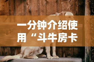 一分钟介绍使用“斗牛房卡链接哪里买”购买房卡介绍 一分钟介绍使用“斗牛房卡链接哪里买”购买房卡介绍