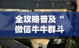 【贵阳花溪疫情/贵阳花溪各区域今日预报】 【贵阳花溪疫情/贵阳花溪各区域今日预报】