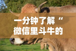 龙跃苑二区疫情/龙跃苑二区疫情最新消息 龙跃苑二区疫情/龙跃苑二区疫情最新消息