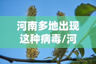【澳门疫情现状最新情况,澳门最新新冠病例数据2026年】
