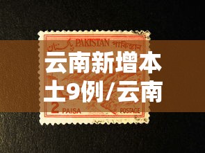 黑龙江新增29例确诊28例无症状（黑龙江新增确诊病例23例 30例无症状）