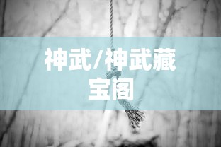 神武/神武藏宝阁 神武/神武藏宝阁